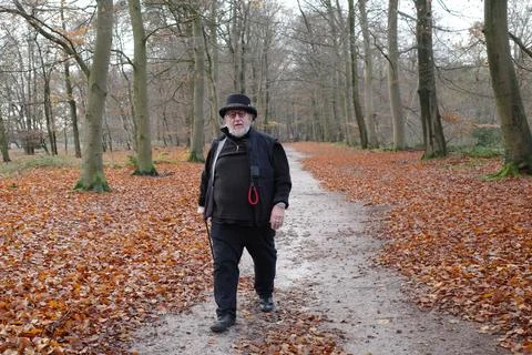 Walking in Twente Stock Photos