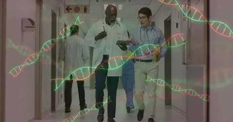 Walking two physicians discussing patient care in hospital corridor, tablet, lab Stock Photos