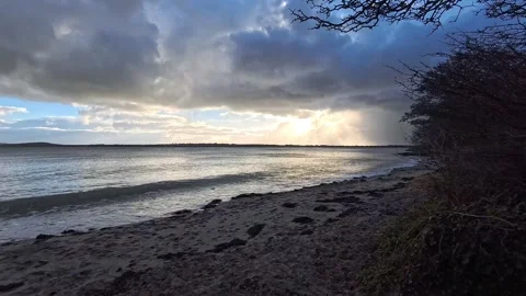 Walking under bare trees towards sunrise blue hour sandy paradise beach Stock Footage 325660746