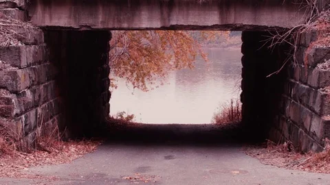 Walking Under A Bridge Towards A River Stock Footage 71738680