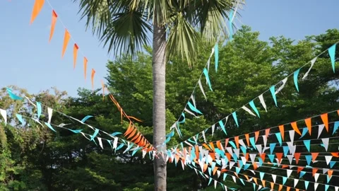Walking under colorful triangular party flags tied to palm tree for tropical Stock Footage 323785430