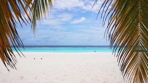 Walking under a palm tree to the paradise beach on Thulhagiri Island, Maldives Stock Footage 195681857