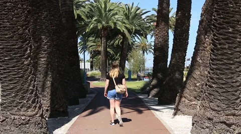 Walking under Palms in Perth Stock Footage 58471574