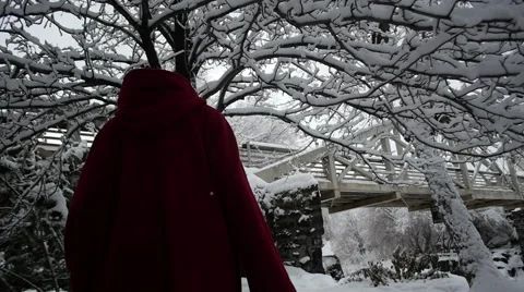 Walking Under a Snowy Tree Stock Footage 60818297