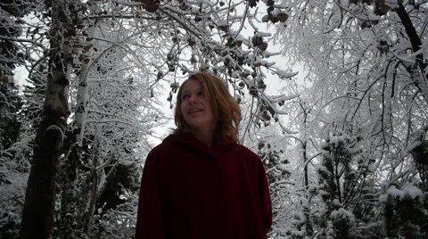 Walking Under Snowy Trees Stock Footage 60818666