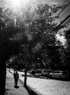 Walking under the sunlight Stock Photos