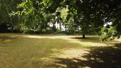 Walking under the tree Video stock 101943458