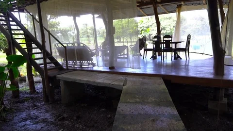 Walking Under Tree On Path To Living Area Outdoor 2 [Slow Motion] Stock Footage 88873824