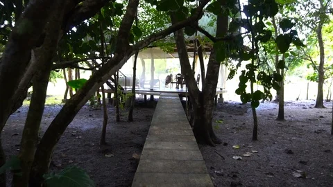 Walking Under Tree On Path To Living Area Outdoor [Slow Motion] Stock Footage 88873836