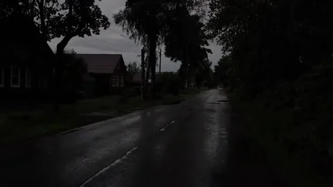 Walking under the trees Stock Footage 316946658