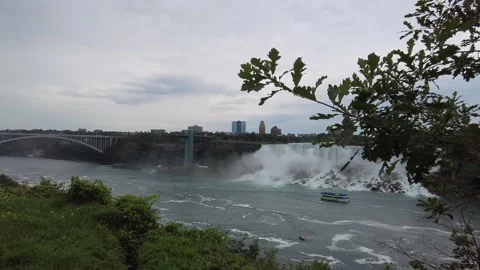 Walking under young oaks on the Canadian bank of the Niagara gorge Stock Footage 345996079