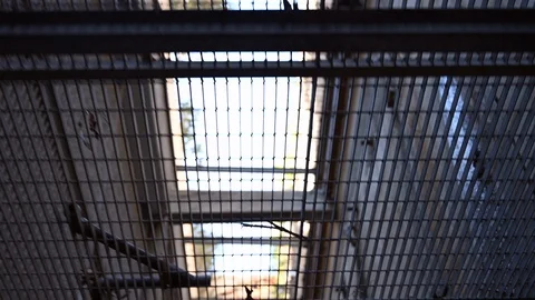 Walking in the underground parking lot looking out of the grates Stock Footage 108516205