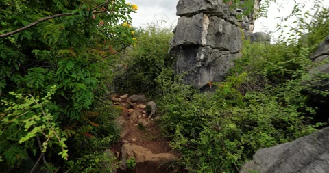 Walking on unpaved path to mushroom rock formation, POV shot Stock-Footage 329490413