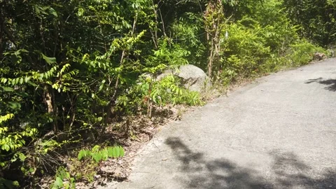 Walking uphill path in the nature Stock Footage 220908757