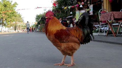 Walking in a Vietnamese street. Stock Footage 128277249