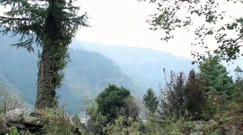 Walking village nature path tracking shot filmed in Himalayan region Stock Footage 58316078