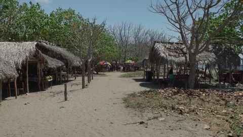 Walking in a village Timor-Leste Stock-Footage 100495541