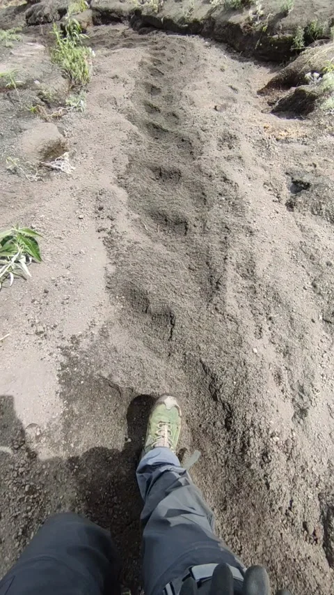 Walking on volcanic sand Stock Footage 307789925