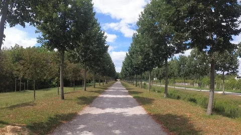 Walking on walk path of public park Stock Footage 129846201