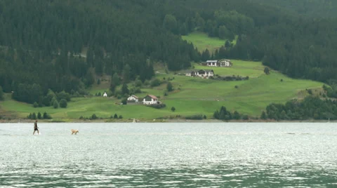 Walking on water 01 Video stock 37409469