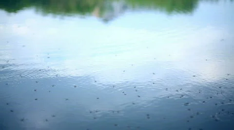 Walking on water Stock Footage 475105