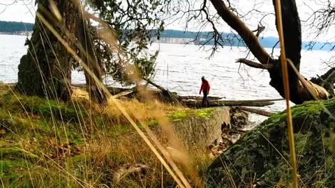 Walking on the water front. Stock Footage 148179331