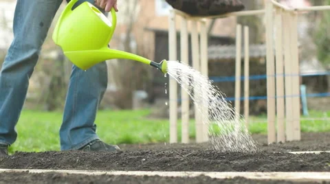 Walking with Watering Can Stock Footage 62405788