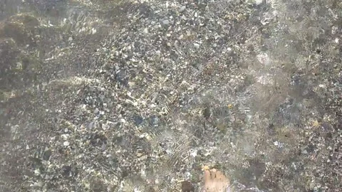 Walking on the waves2 Stock Footage 160817311