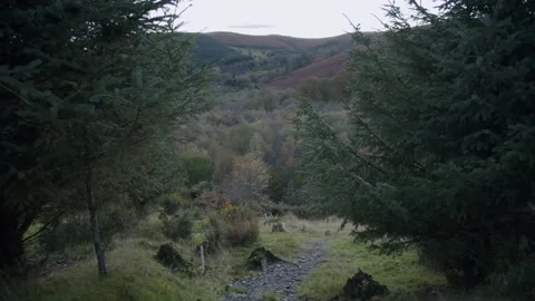 Walking in a Welsh valley Stock Footage 203903167