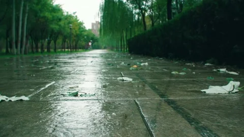 Walking on wet paths after rain Stock Footage 234054258