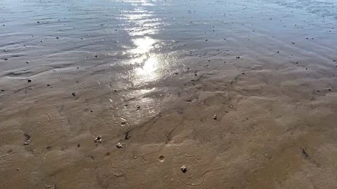 Walking on wet sand looking up at the Sun Video stock 149685167