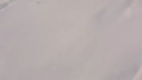 Walking in the white snow 動画素材 133206450