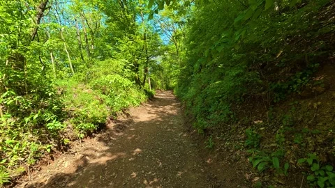 Walking on Wide Dirt Path. Lush Spring Forest. Balkan, Eastern Europe, POV Vídeo Stock 333347086