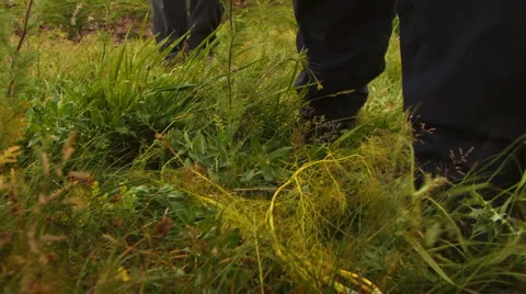 Walking in the Wild 库存影片 1032770