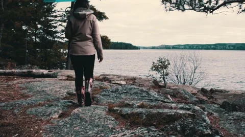 Walking in the wilderness Stock Footage 63223831