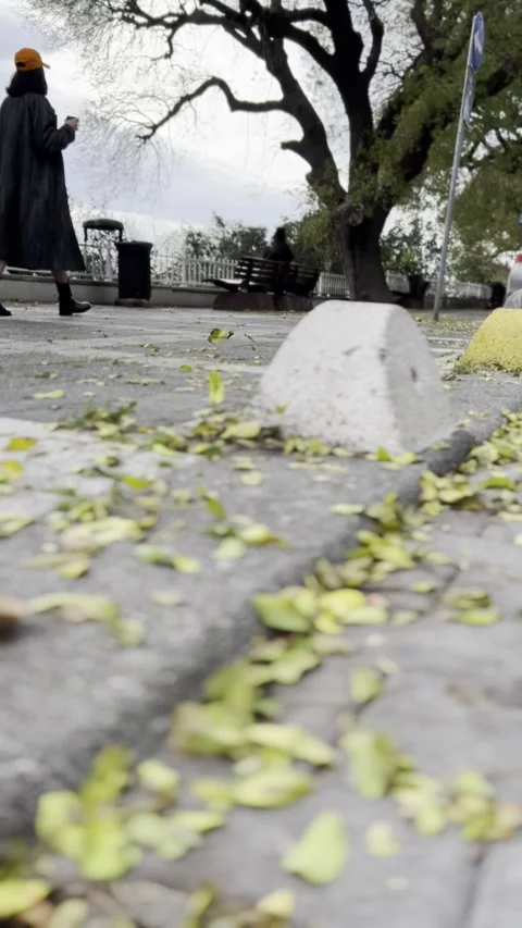 Walking in a windy weather Vídeo Stock 250012026