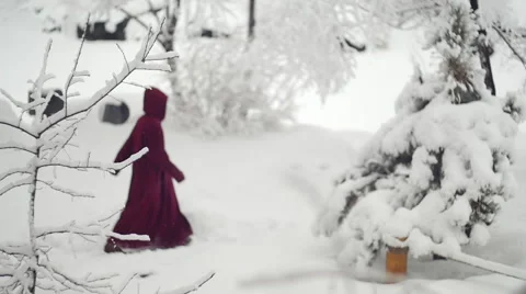 Walking by in Winter Stock Footage 60818420