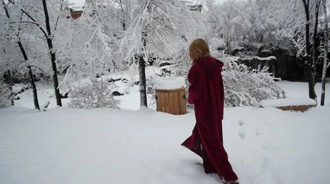 Walking in Winter Video stock 60818721
