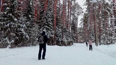 Walking in the winter forest Stock Footage 76141239