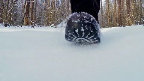 Walking in the winter forest. Stock Footage 84986731