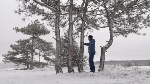 Walking in winter through the forest a man stopped near fir tree Stock Footage 72364343