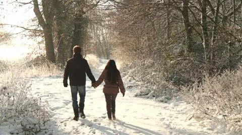 Walking in Winter wonderland Stock Footage 16050200