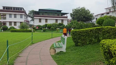 Walking with Wisdom: The Buddha in Temple Silence Stock Footage 317071135