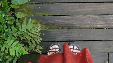 Walking woman in the forest. Stock Footage 122194832