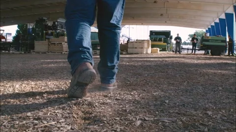 Walking on Wood Chips Stock Footage 201624775
