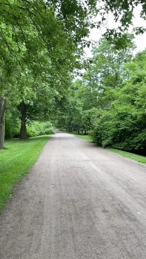 Walking in wooded path Vídeo Stock 323661692