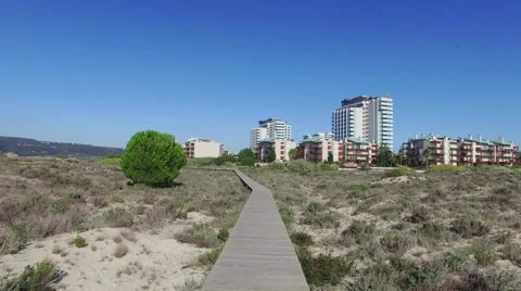 Walking on Wooden Footpath Stock Footage 59765154