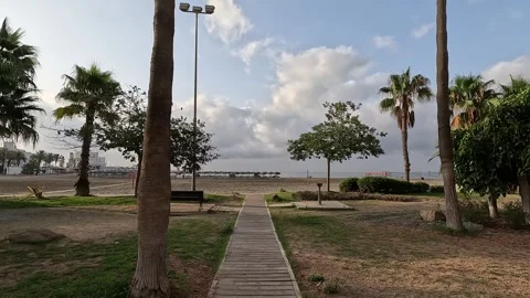 Walking on a wooden path between palms towards beach Stock Footage 285950274