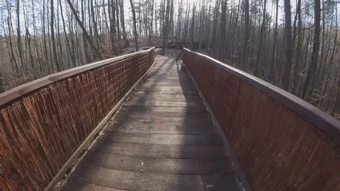 Walking on Wooden Path inside Forest Hill on Sunny Autumn Day POV Stock Footage 124980853