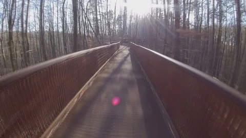 Walking on Wooden Path inside Forest Hill on Sunny Autumn Day Fast Motion POV Stock Footage 124980898